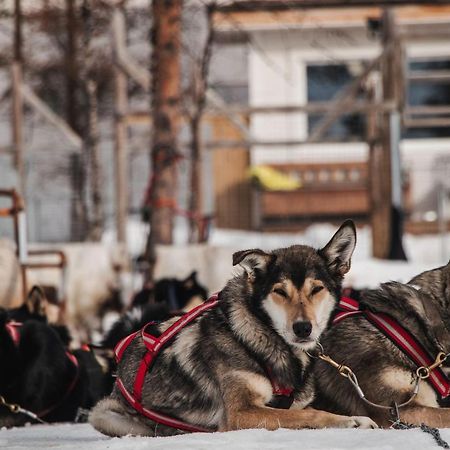 Mattarahkka Northern Light Lodge Кируна Екстериор снимка