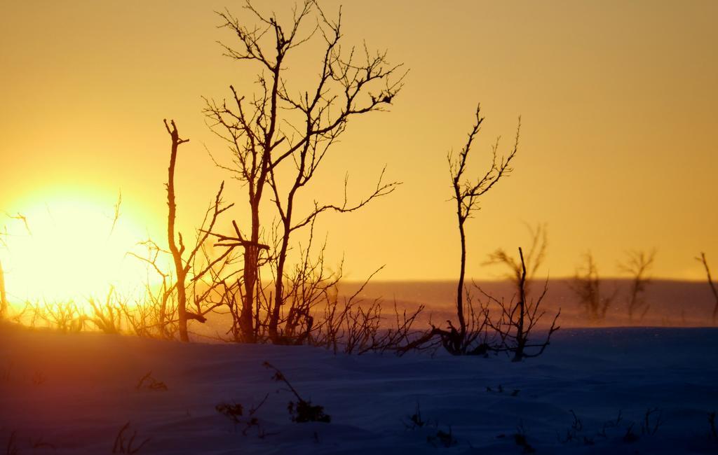 Mattarahkka Northern Light Lodge Кируна Екстериор снимка