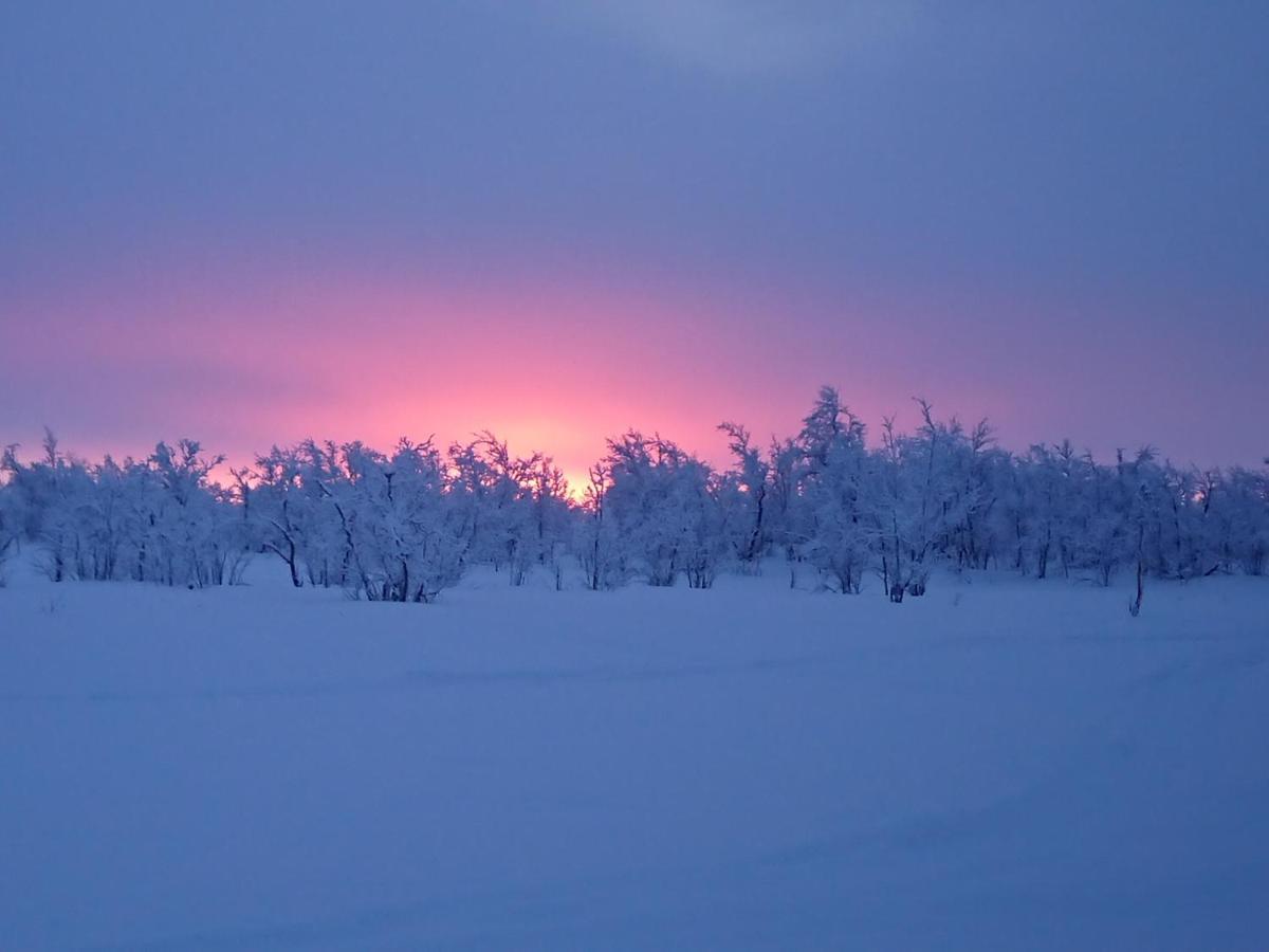 Mattarahkka Northern Light Lodge Кируна Екстериор снимка